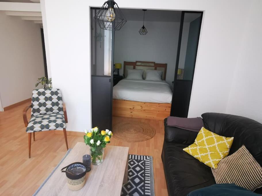 Nid Douillet A Quelques Pas De La Gare. Apartment Каркасон Екстериор снимка