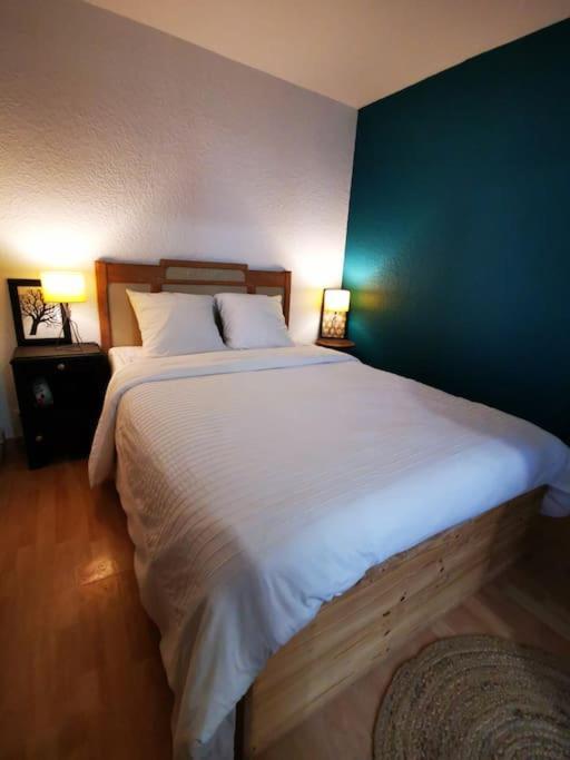 Nid Douillet A Quelques Pas De La Gare. Apartment Каркасон Екстериор снимка