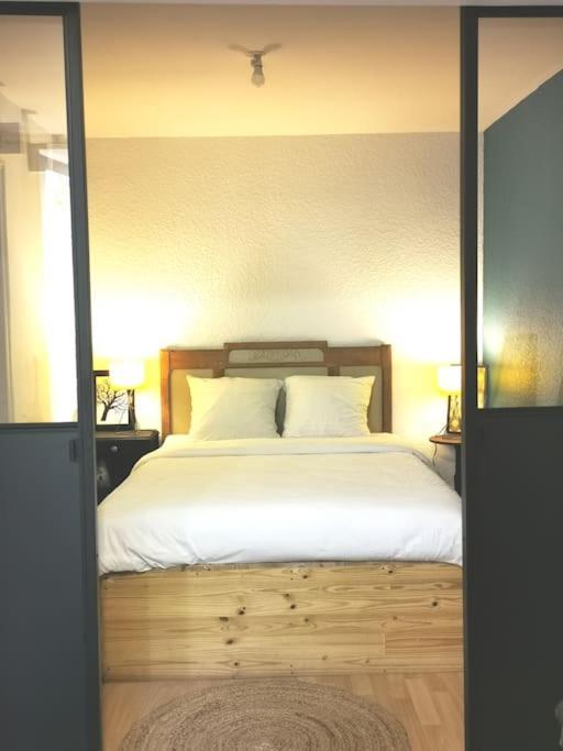 Nid Douillet A Quelques Pas De La Gare. Apartment Каркасон Екстериор снимка