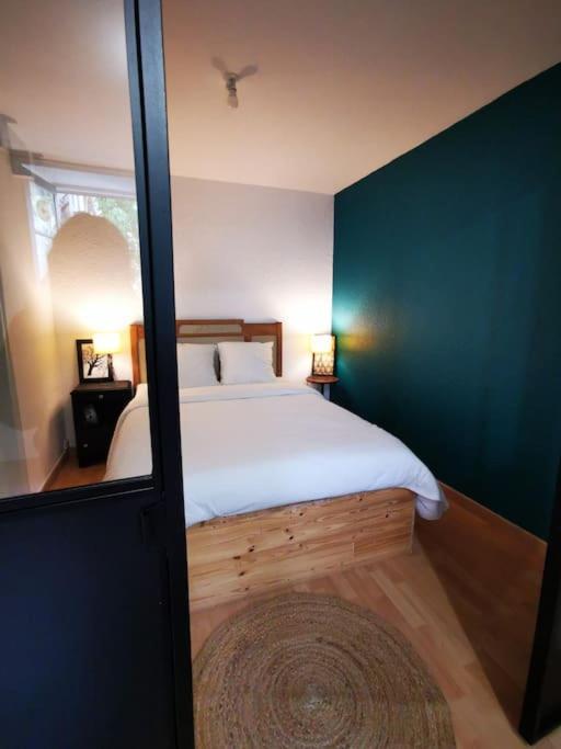Nid Douillet A Quelques Pas De La Gare. Apartment Каркасон Екстериор снимка
