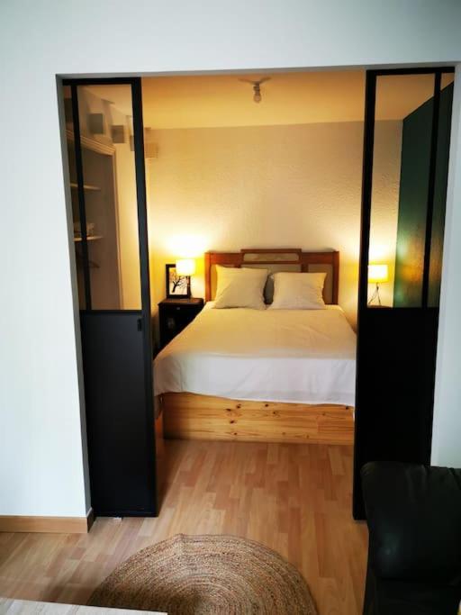 Nid Douillet A Quelques Pas De La Gare. Apartment Каркасон Екстериор снимка